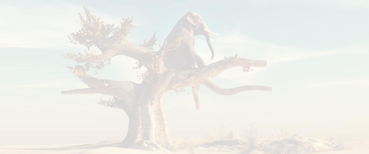 1200x500_Heimlehrgaenge_Freiheit-