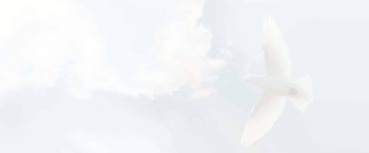 Luzifer_1200x500_trans