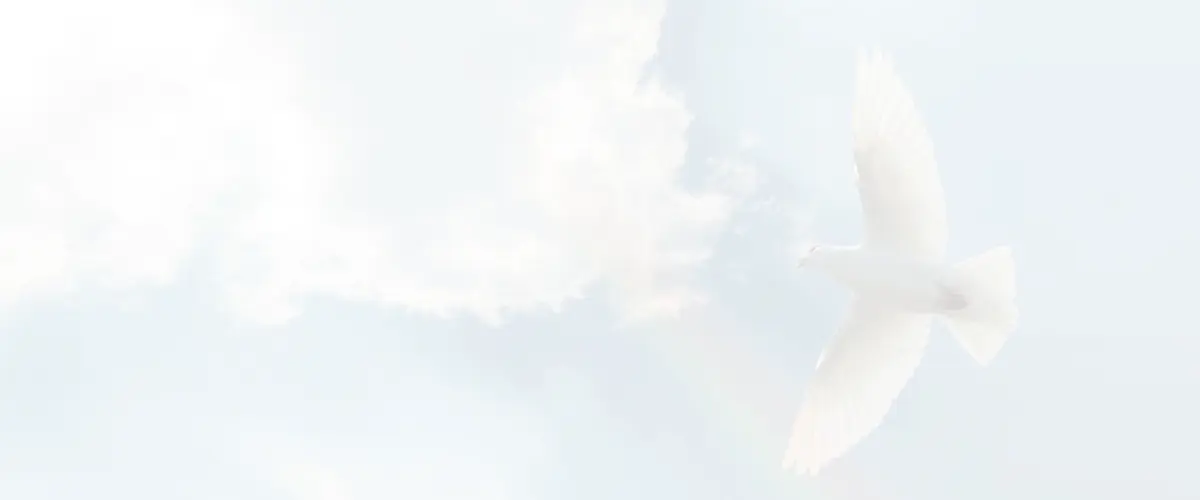 Luzifer_1200x500_trans