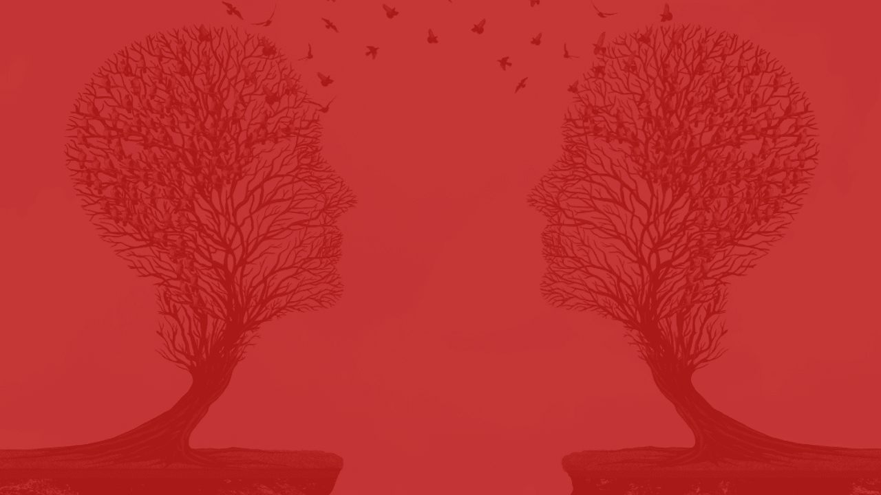 Slider-gesichter-baum-neu_rot