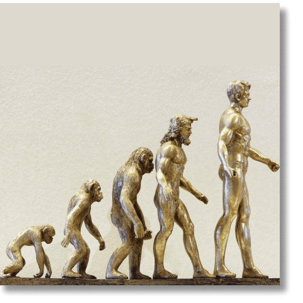 evolution-600-neu